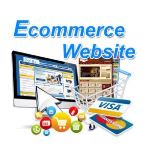 e commerce website